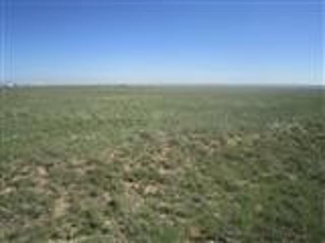Land for sale in Moriarty, Torrance County