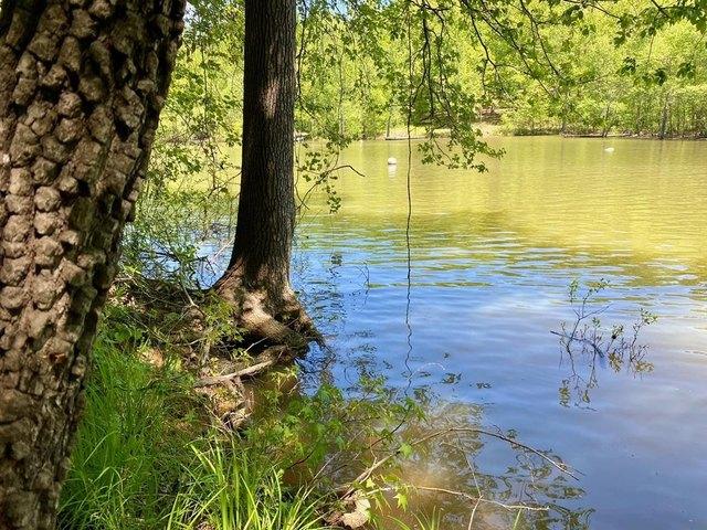 Land for sale in Virginia