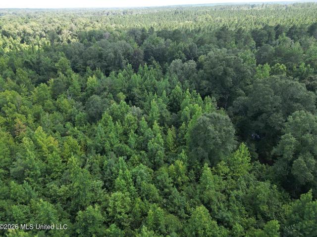 Land for sale in Harrisonburg, Louisiana