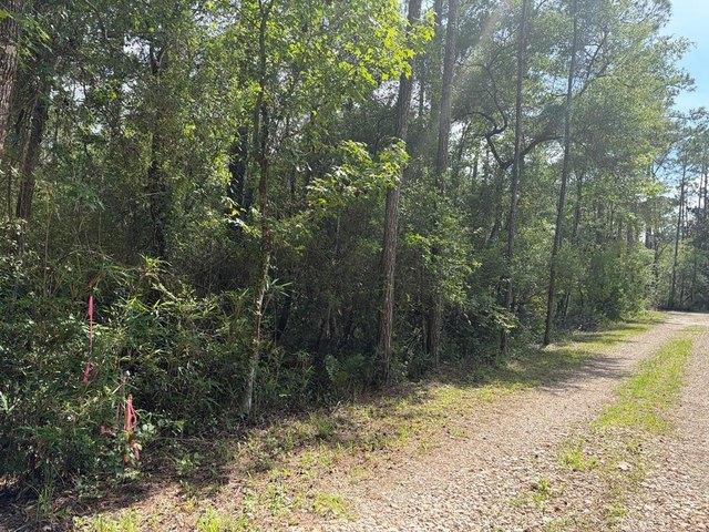Land for sale in Florida