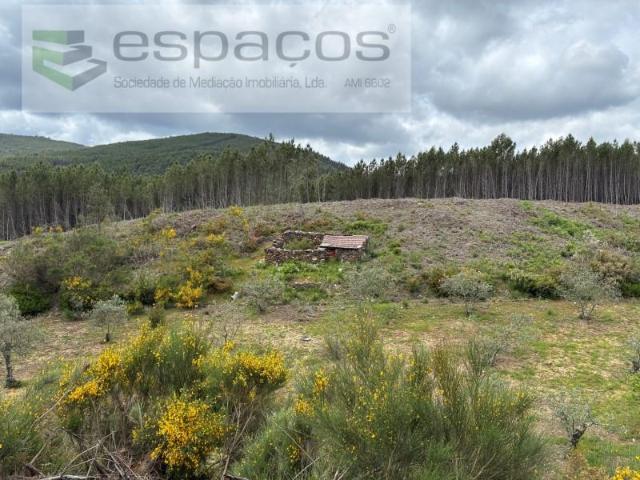 Terreno venda em Pampilhosa Da Serra, Coimbra