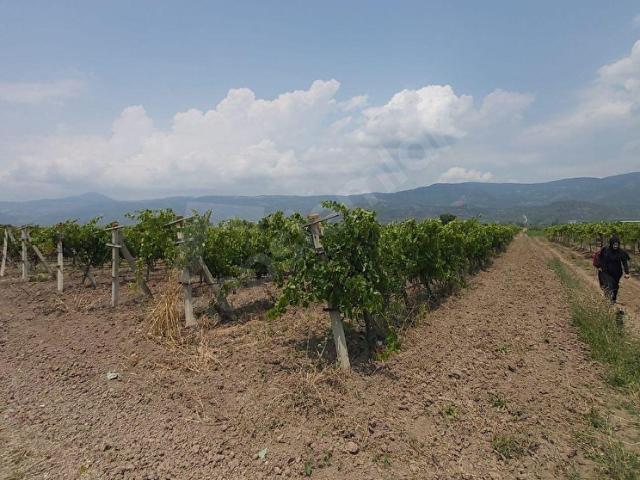 Pamukova, Sakarya içerisinde satılık Arsa