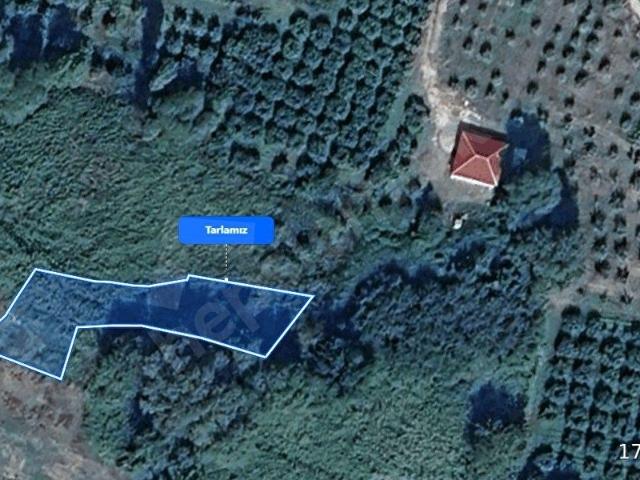 Pamukova, Sakarya içerisinde satılık Arsa