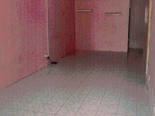 House for rent in Port Klang, Selangor