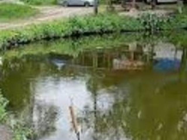 Shop for sale in Langat, Selangor