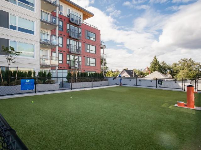 Apartment for rent in Victoria, British Columbia