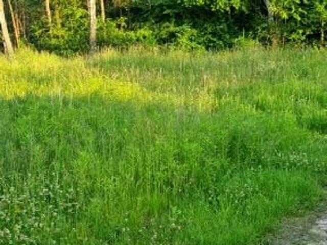 Grunt na sprzedaż w Ruda Śląska, Śląskie