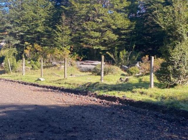 PANGUIPULLI, CAJÓN NEGRO