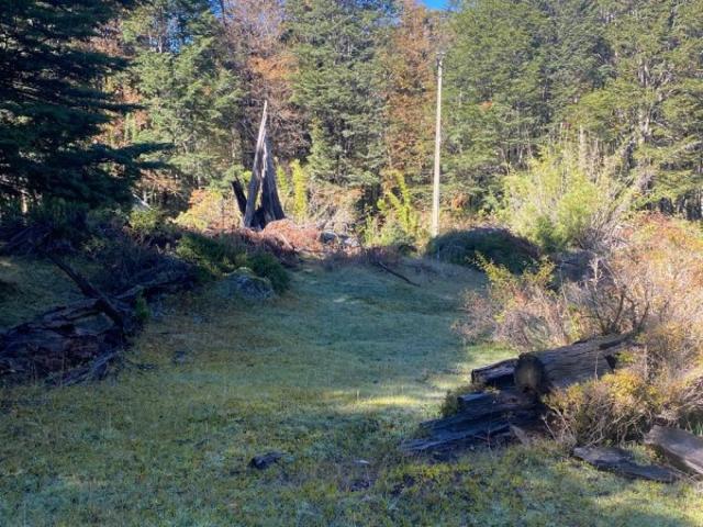 PANGUIPULLI, CAJÓN NEGRO