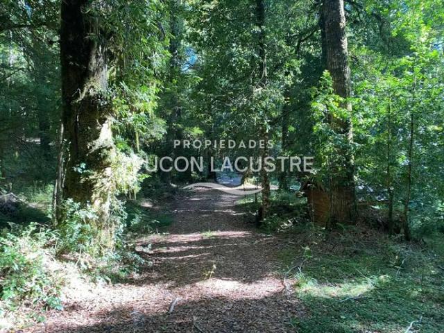 Panguipulli, En venta casa en parcela reserva huilo huilo 139977