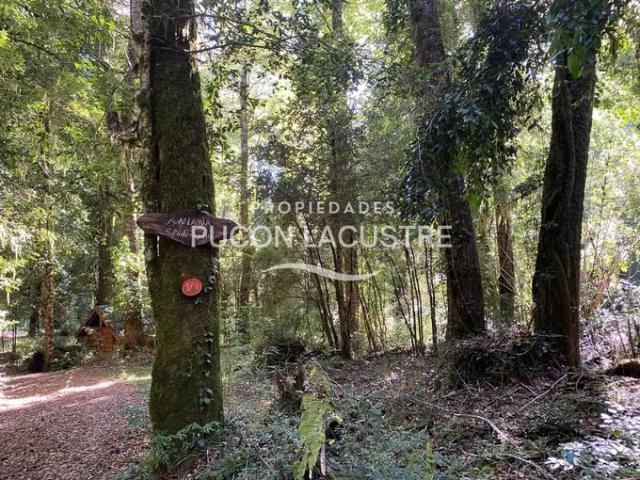 Panguipulli, En venta casa en parcela reserva huilo huilo 139977