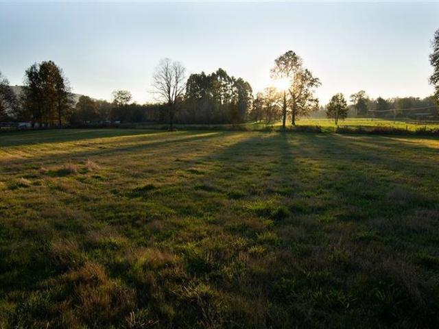 Panguipulli, Huellahue/panguipulli/ parcelas planas 5.000 m2