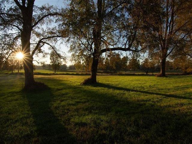 Panguipulli, Huellahue/panguipulli/ parcelas planas 5.000 m2