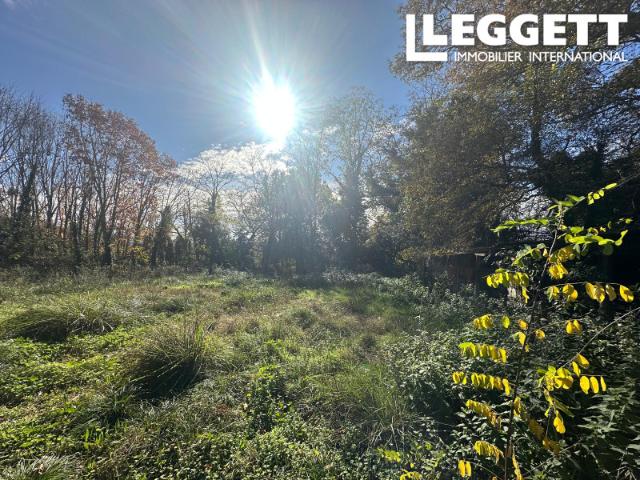 Terrain vente à France métropolitaine, Panjas