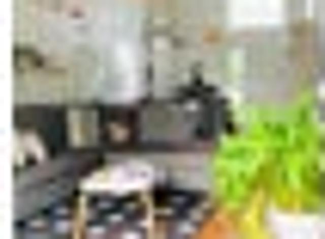 Apartment for rent in Panmure