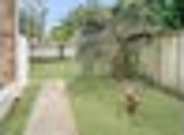 Apartment for rent in Panmure