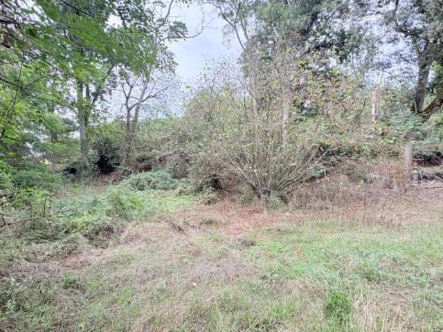 Terrain vente à Châteaubriant-Ancenis, Pannecé