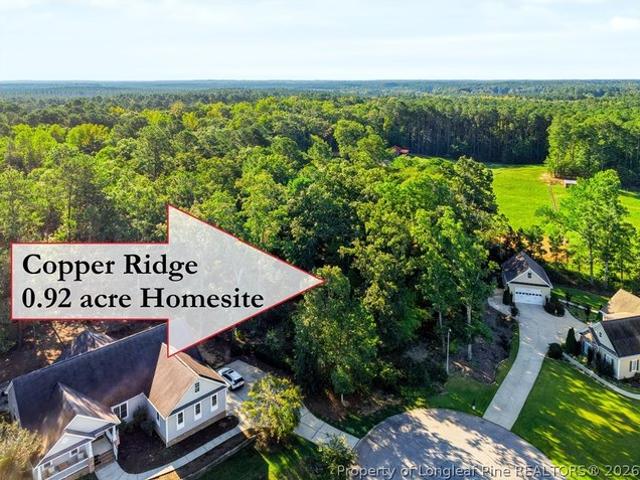 Land for sale in Sanford, Lee County