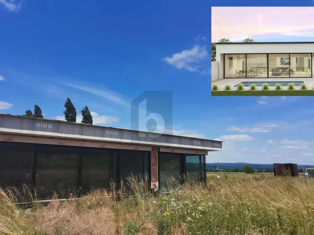 Haus kaufen in Oslip, Burgenland