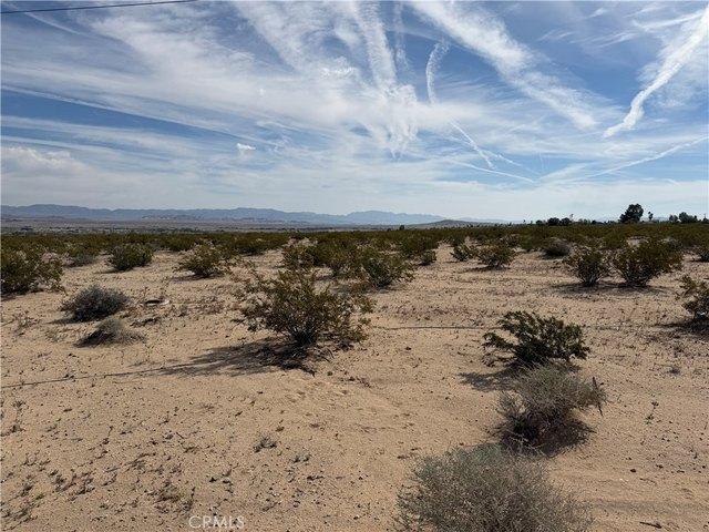 House for rent in Twentynine Palms, California