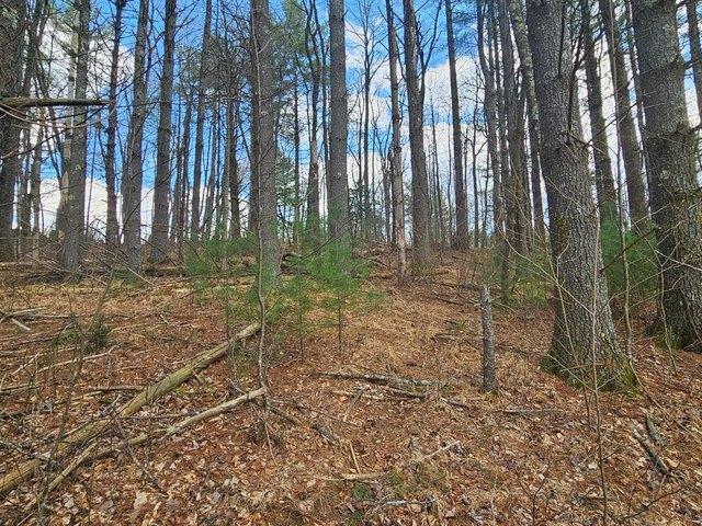 Land for sale in Todd, North Carolina