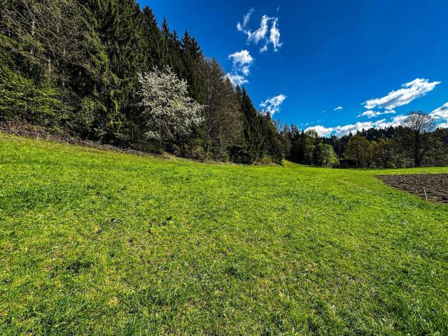 Immobilie kaufen in Itter, Tirol