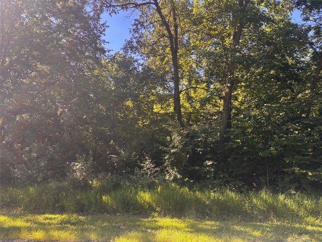 Land for sale in Guthrie, Iowa