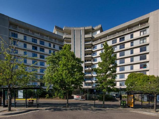 Apartment for rent in Repton Manor, Bridgefield