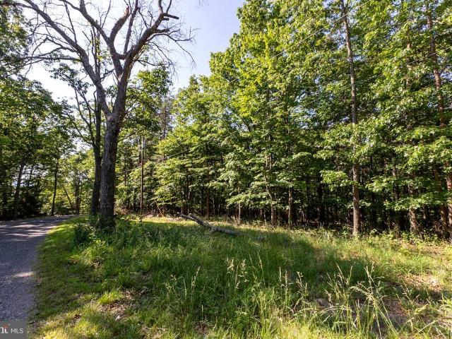 Land for sale in Virginia