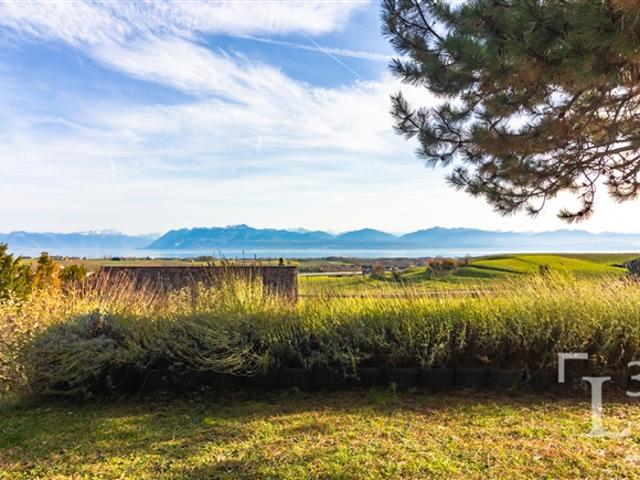 Einfamilienhaus kaufen in Morges, Waadt