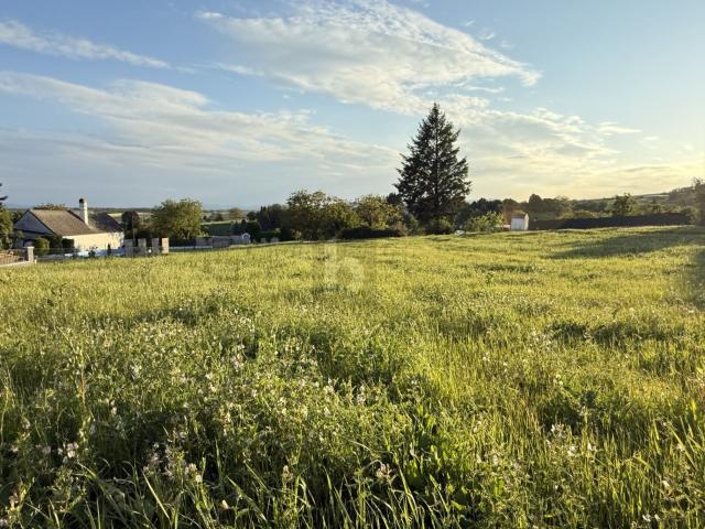 Grundstück kaufen in Ritzing, Burgenland
