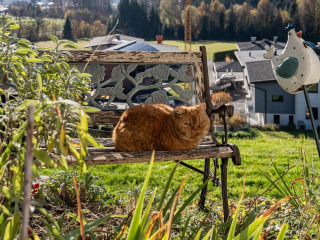 Haus kaufen in Angerberg, Tirol