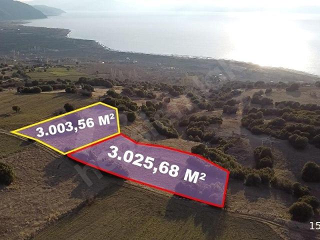 Esinyurt, Gelendost içerisinde satılık Arsa