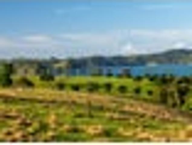Land for sale in Karetu, Northland