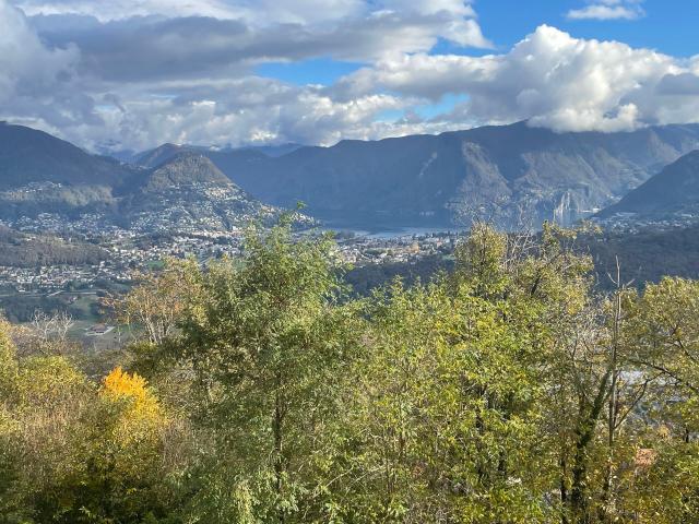 Immobilie kaufen in Cademario, Tessin