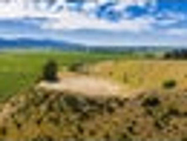 Land for sale in Renwick, Marlborough