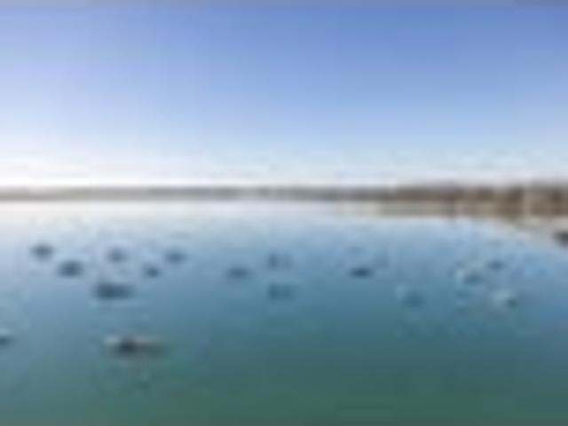 Apartment for sale in Omokoroa, Bay Of Plenty