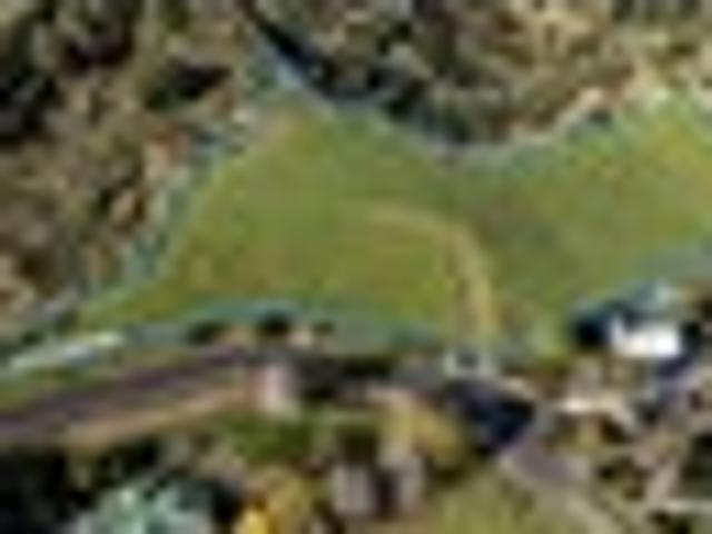 Land for sale in Waikato
