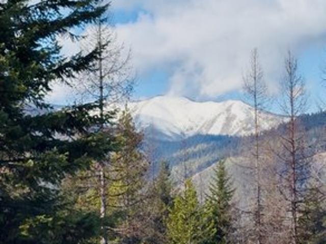 Land for sale in Libby, Montana