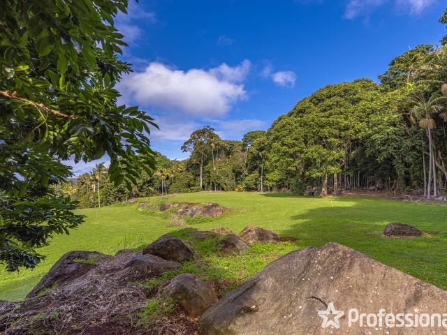 Land for sale in Tamborine Mountain Land for sale in Tamborine Mountain