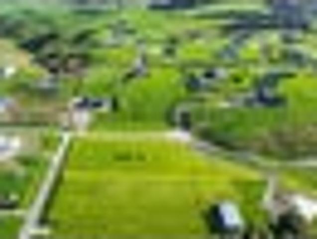 Land for sale in Halcombe