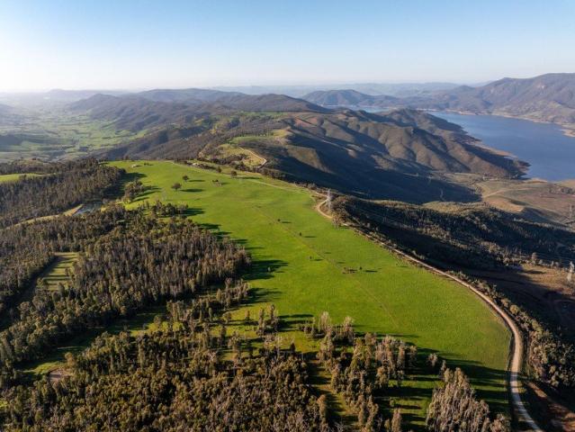 Cottage for sale in Gilmore, Snowy Valleys Council