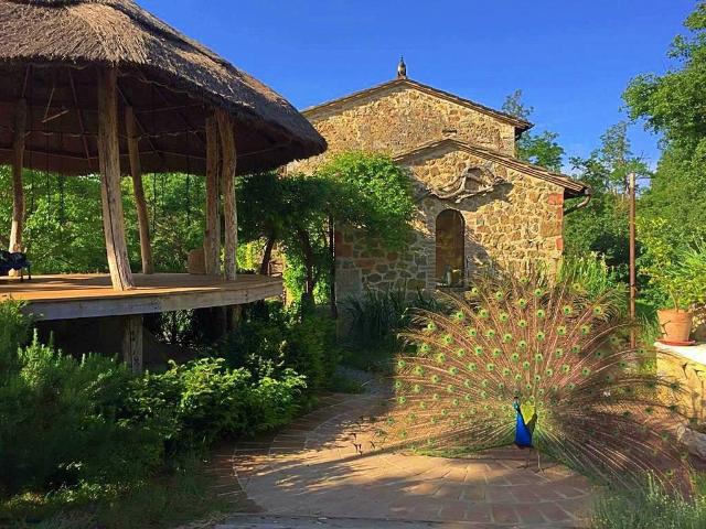 Casa in vendita a Trequanda, Siena