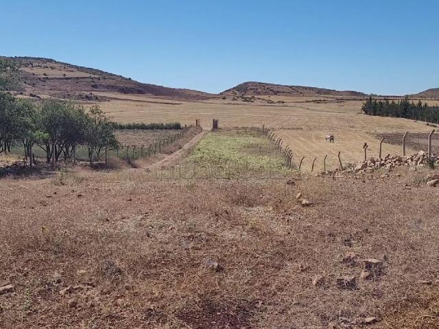 Ferme vente à Bhalil