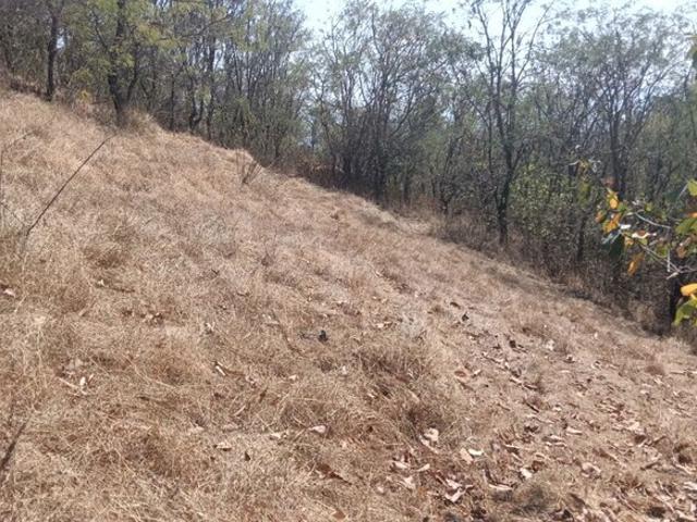 Land for sale in Poona, National Capital Territory Of Delhi