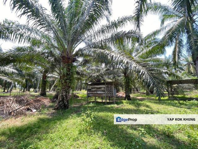 Shop for sale in Perak, Pantai Remis