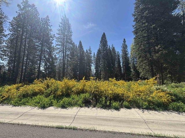 Land for sale in Mccloud, California