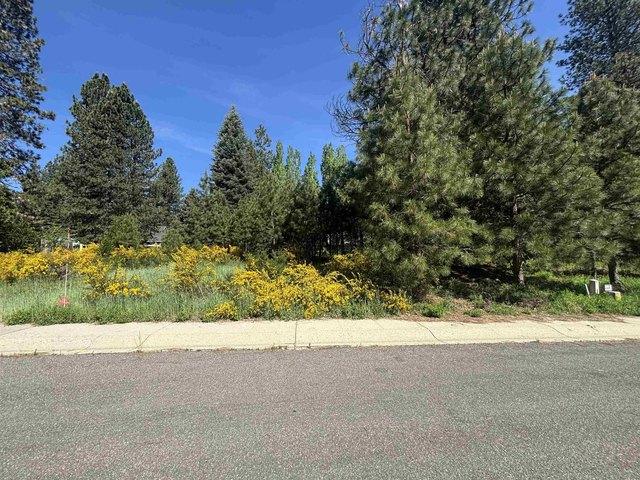 Land for sale in Mccloud, California