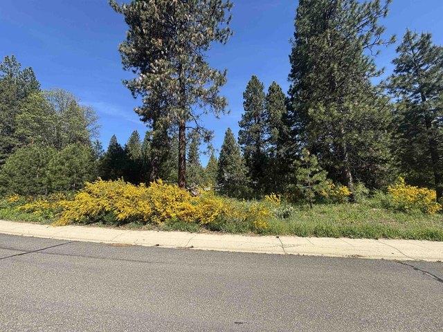 Land for sale in Mccloud, California