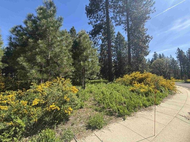 Land for sale in Mccloud, California